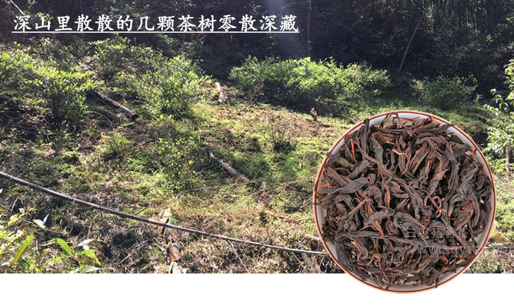 6364885316150585938278151_副本.jpg