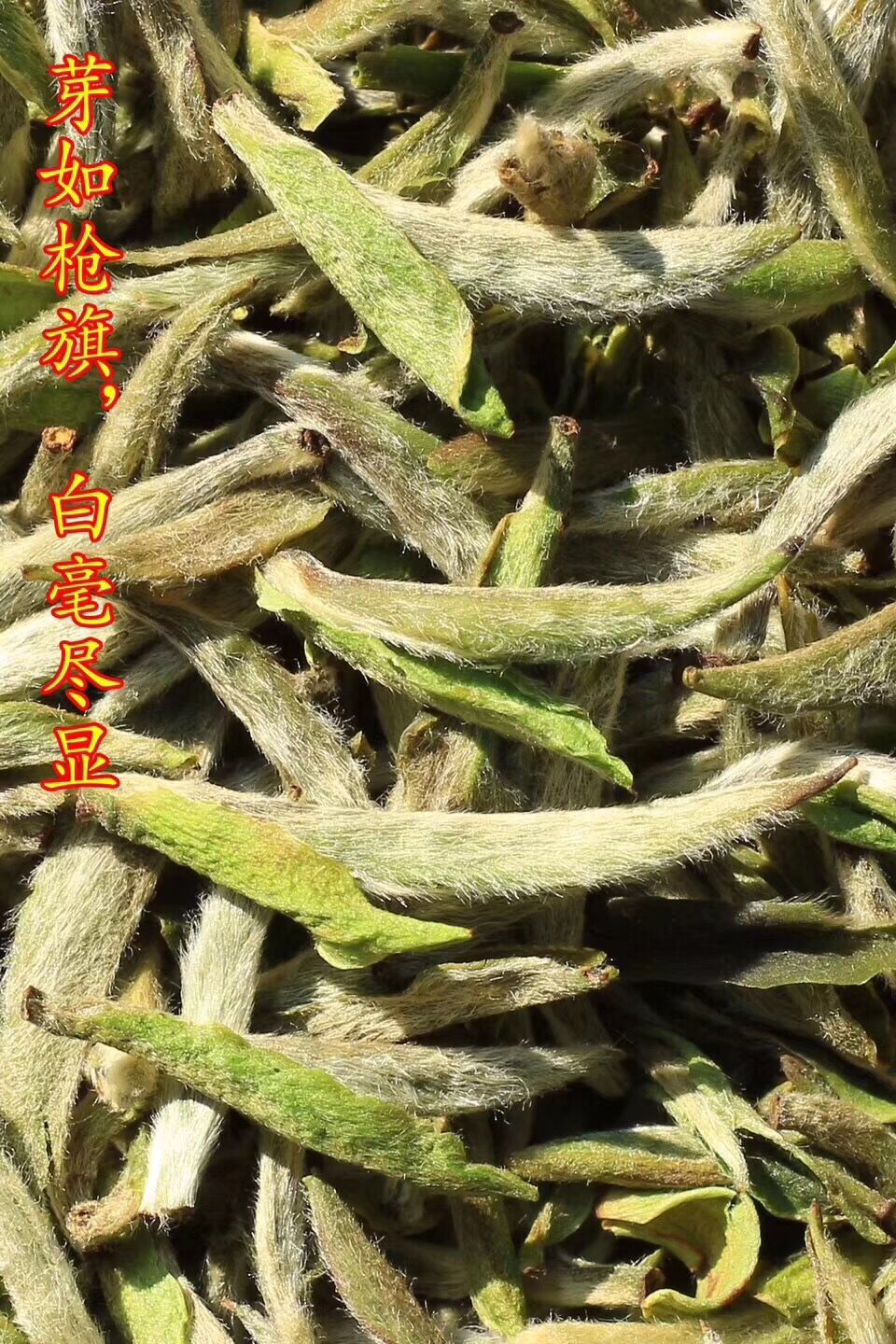 QQ图片20190116145558.jpg