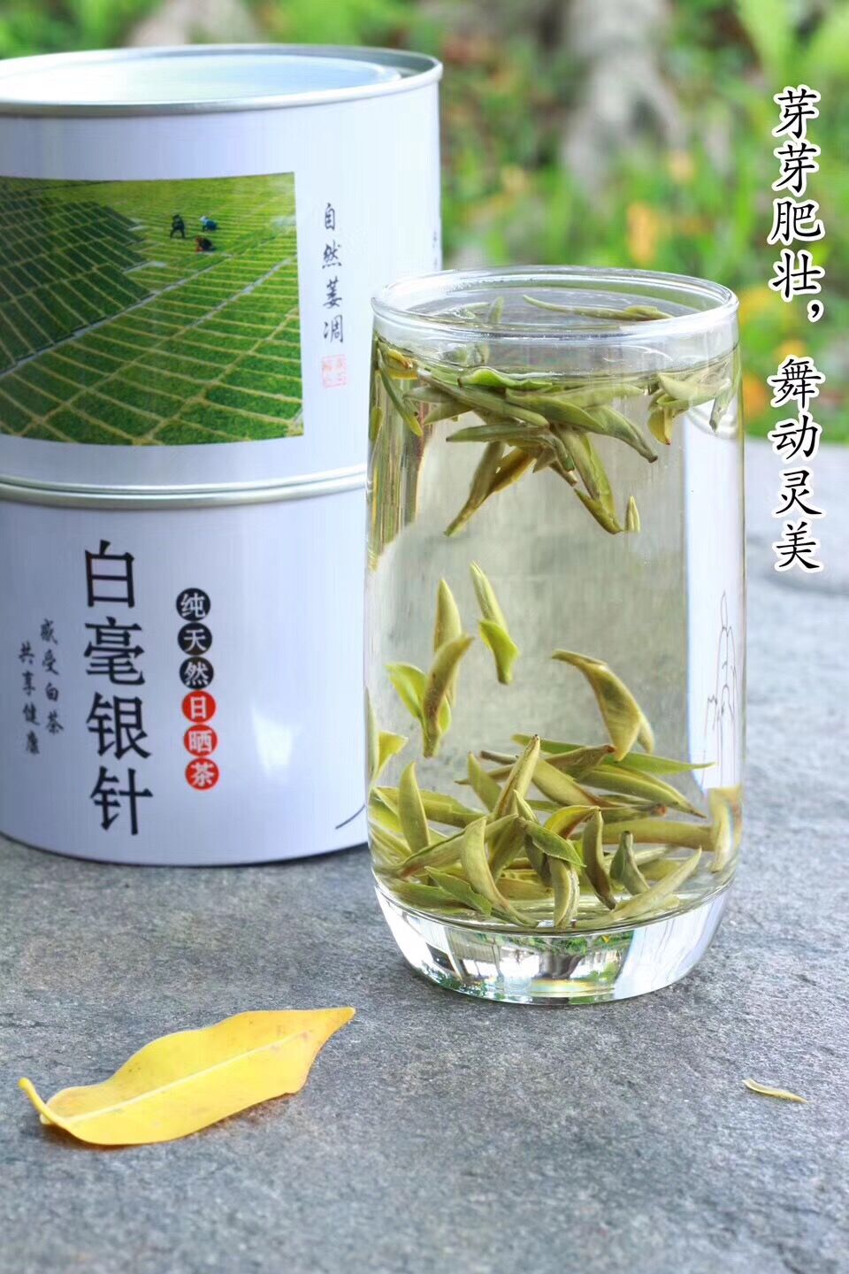 QQ图片20190116145621.jpg