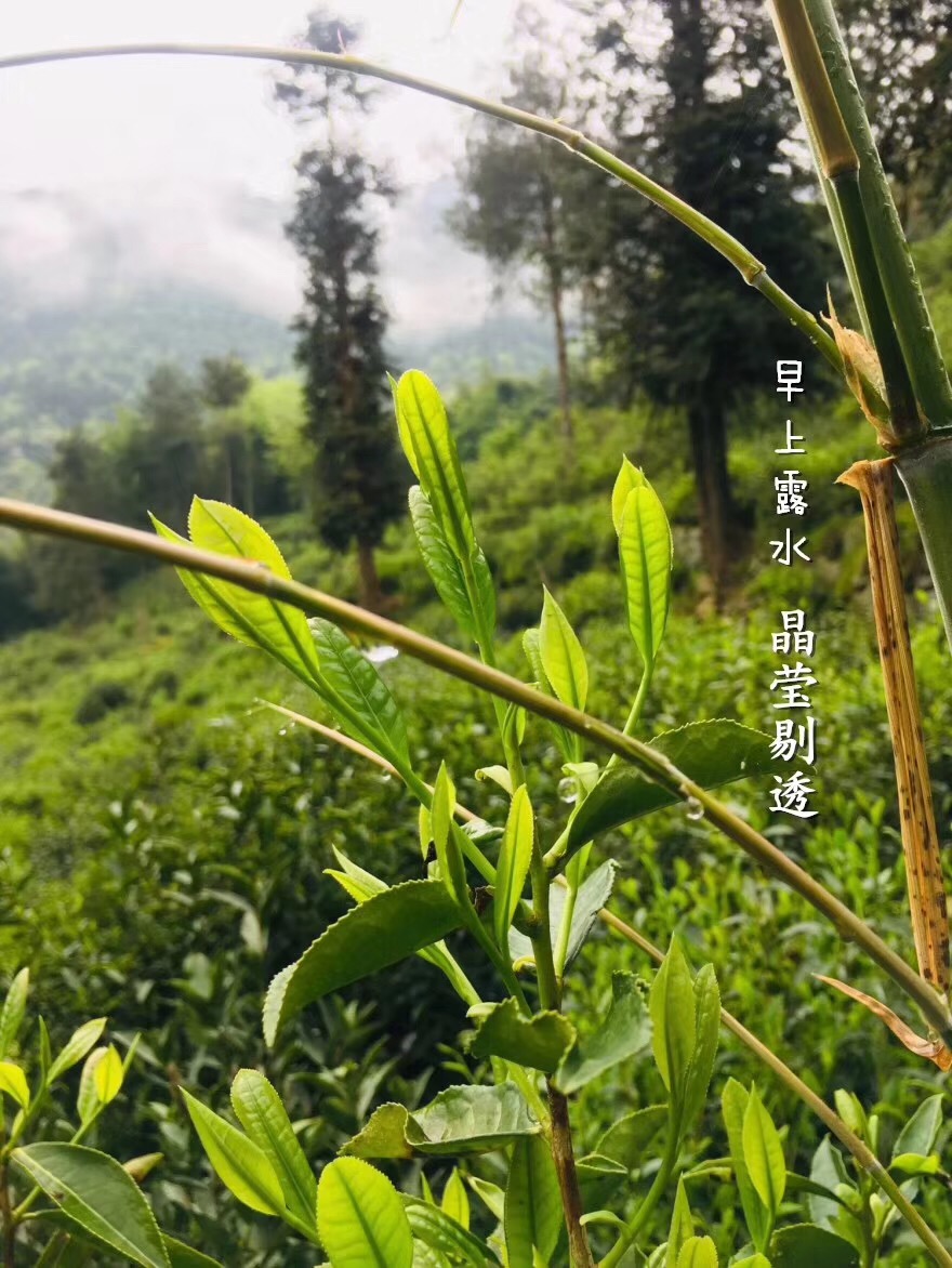 微信图片_20190825102523.jpg 微信图片_20190825102523.jpg