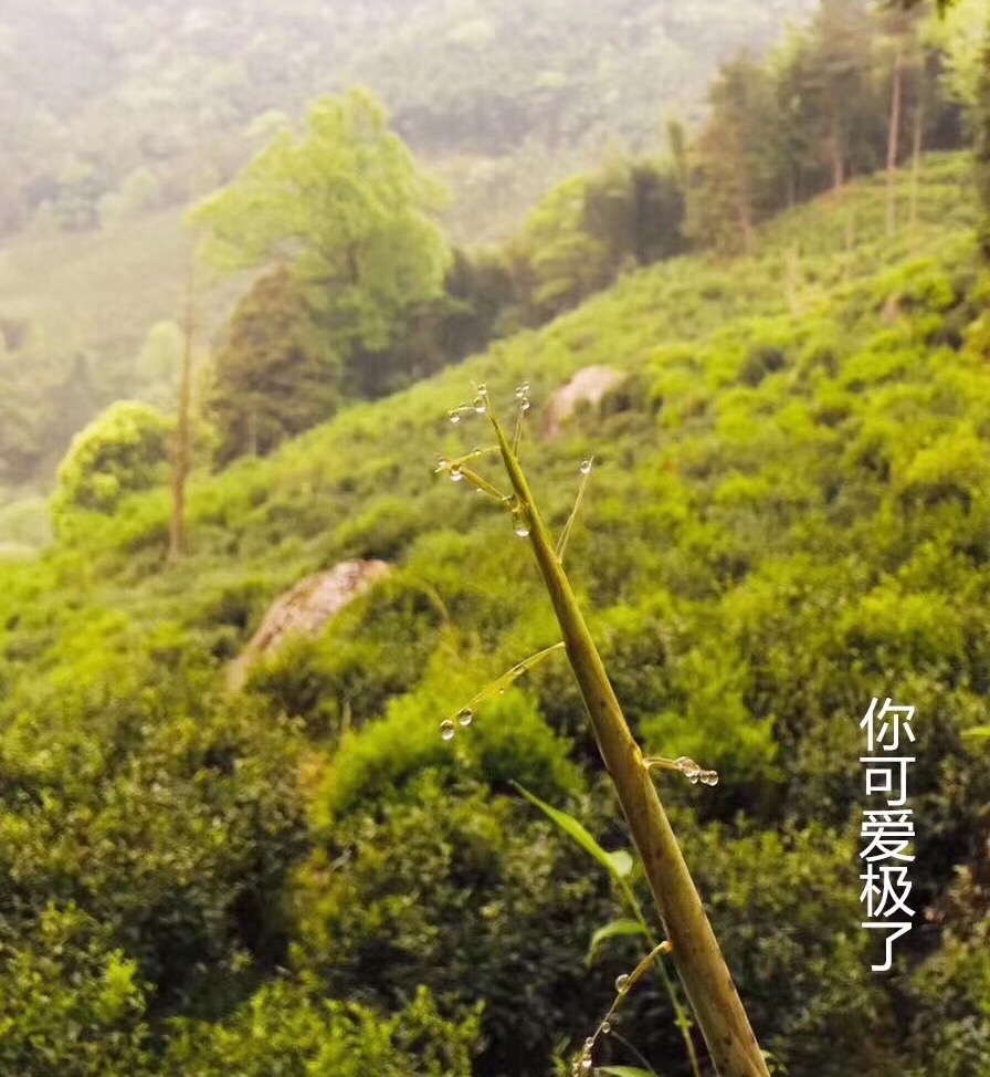 微信图片_20190825104847.jpg 微信图片_20190825104847.jpg
