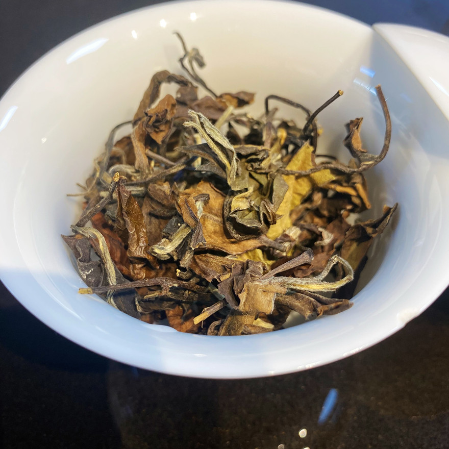 2019福鼎老白茶